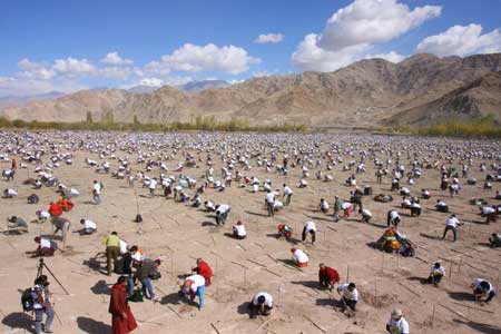 tree planting in ladakh